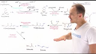 Phenylketonuria PKU [upl. by Hendel382]