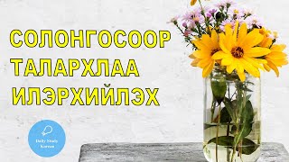 Солонгос хэлээр талархлаа илэрхийлэх [upl. by Bena182]