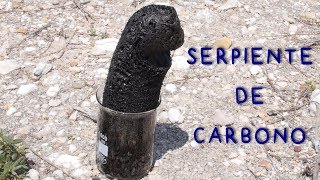 Serpiente de Carbono Deshidratacion de Azúcar con Ácido Sulfúrico [upl. by Tomkiel]