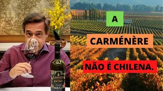 Carménère sua origem história e características [upl. by Karen]