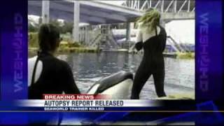 SeaWorld Trainer Autopsy Released [upl. by Jackson514]