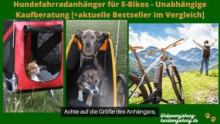 Hunde Fahrradanhänger für EBikes Test 2024 die top 5 im Vergleich Kaufberatung und Empfehlung [upl. by Clement327]