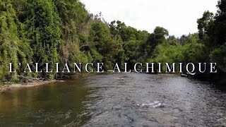 LALLIANCE ALCHIMIQUE [upl. by Alicea]