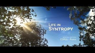 Life in Syntropy [upl. by Whiney]