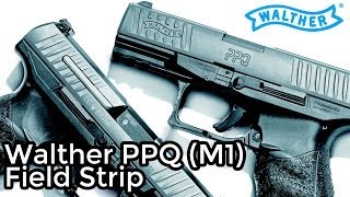 Walther PPQ Field Strip [upl. by Philbrook]