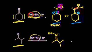 Formation of oximes and hydrazones  Aldehydes and ketones  Organic chemistry  Khan Academy [upl. by Aihsemat]