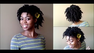 4C Natural Hair  Wet Banded Twistout Tutorial ft Oyin Handmade  NaturalMe4C [upl. by Isoj]