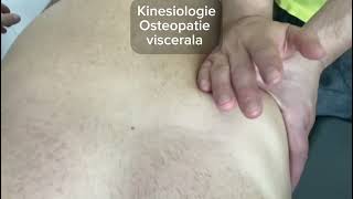 Visceral kinesiology and osteopathy [upl. by Holcomb]