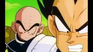 I think hes talking to us Vegeta [upl. by Germano]