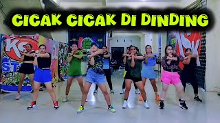 CICAK CICAK DI DINDING  TIKTOK VIRAL  CHOREO ZIN CHICIE [upl. by Nicolea]