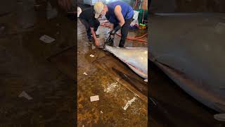 Incredible bluefin tuna cutting skill [upl. by Clementine]