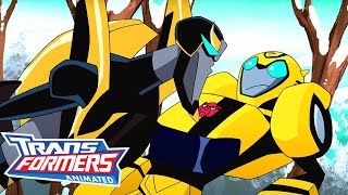 Transformers Animated  S01 E14  FULL Episode  Cartoon  Transformers Official [upl. by Lorenza]