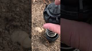 How to adjust a rainbird 5000 sprinkler head sprinkler sprinklers sprinklersystem rainbird [upl. by Nalla]