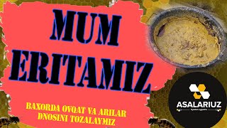 MUM ERITAMIZ ODDIY VA FOYDALI [upl. by Faubert]