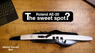 Roland Aerophone AE20 The review [upl. by Lanod]