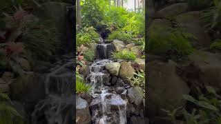 The pleasure of being present at the Virginia Robinson Botanical Gardens runningwater waterfall [upl. by Emmet]