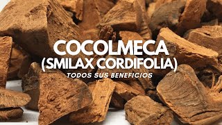 Beneficios de la COCOLMECA Smilax cordifolia Tintura madre y Microdosis [upl. by Asylla308]