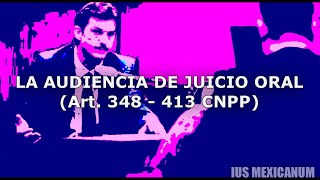 LA AUDIENCIA DE JUICIO ORAL  SISTEMA PENAL ACUSATORIO [upl. by Lody]