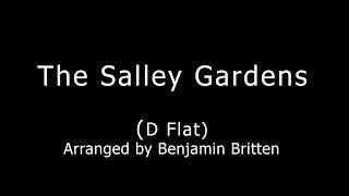 The Salley Gardens [upl. by Ididn]