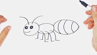 How to draw an Insect Step By Step [upl. by Edric383]