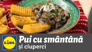 Pui cu smantana si ciuperci • reteta Bucataria Lidl [upl. by Ttegdirb955]