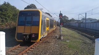 Woolooware Trainspotting [upl. by Bruning]