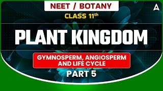 𝐏𝐋𝐀𝐍𝐓 𝐊𝐈𝐍𝐆𝐃𝐎𝐌 𝐂𝐋𝐀𝐒𝐒 𝟏𝟏  BOTANY GYMNOSPERM ANGIOSPERM AND LIFE CYCLE  NEET SANJEEVANI BATCH [upl. by Ubana]