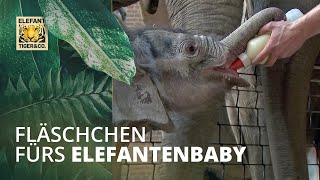 Fläsch­chen fürs Elefantenbaby [upl. by Gensler54]