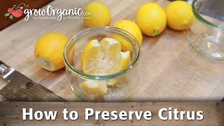 How To Preserve Citrus by Canning [upl. by Anitnahs336]