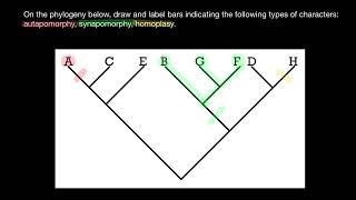 Autapomorphy Synapomorphy Homoplasy Explained [upl. by Brigitte]