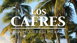 Los Cafres en Isla Mujeres México  Reggae en PelaGatos [upl. by Waechter]