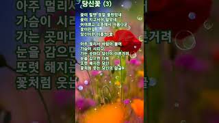 당신꽃 가사 3 황영웅노래모음 kpop kpop [upl. by Alrad]