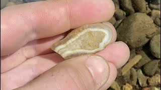 Episode 3 No Soundtrack Version  Geologist goes Rockhounding for Agates in Washington State [upl. by Atalya]