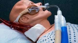 Preparing for ECMO Emergencies Through Simulation  BAVLS [upl. by Sender294]