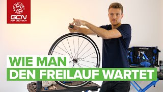 Wie man den Freilauf am Fahrrad reinigt oder wechselt  FreilaufkörperPflege [upl. by Goerke]