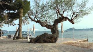 Puerto Pollensa Video 5Calm Day Mallorca Spain [upl. by Jeremy888]