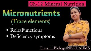 Mineral nutrition  Role and Deficiency symptoms of Micronutrients  Class 11 BiologyNEETAIIMS [upl. by Fritts625]