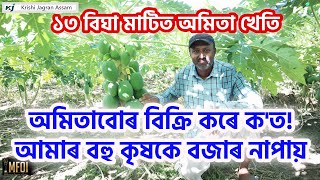 ১৩ বিঘা মাটিত অমিতা খেতি। Papaya Farming in Golaghat। Krishi Jagran Assam। [upl. by Aradnahc]