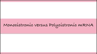 Difference between Monocistronic and Polycistronic mRNA  Biology Diaries biology biologyclass12 [upl. by Infeld919]