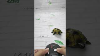 remote control 🐢 shorts toys childrenstoys [upl. by Aiel]