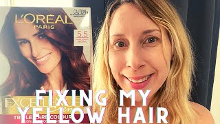 Fixing My Yellow Hair LOREAL PARIS MAHOGANY BROWN 55 lorealhaircolor [upl. by Blim]