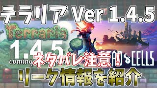 ネタバレ注意『テラリア』Ver 1 4 5のリーク情報を紹介 [upl. by Aelyak]