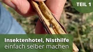 Insektenhotel Nisthilfe einfach selber machen [upl. by Amlus]