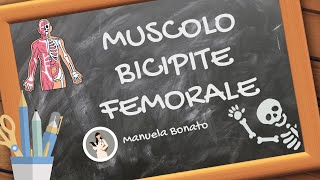 MUSCOLO BICIPITE FEMORALE cosa fa e come si allunga [upl. by Carbone432]