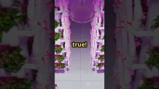 Myth Plants thrive only in soilexplore shorts shortvideofunny plants bonsai reelsviralshort [upl. by Naiditch]