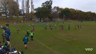 Harlequins vs Waimate  13th April 2024 [upl. by Mcwherter818]