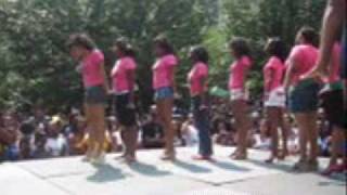 Atlanta Greek Picnic 2008 Stroll Off  Alpha Kappa Alpha AKA [upl. by Potash]