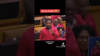 EFF vs Parliament [upl. by Eeb]