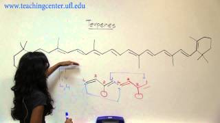 Recognizing Terpenes [upl. by Prue]