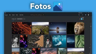 Windows Fotos Tutorial Alles was du darüber wissen musst [upl. by Annodas]